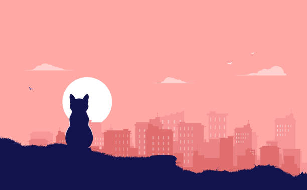 ilustraciones, imágenes clip art, dibujos animados e iconos de stock de gato sentado y mirando la ilustración vectorial del horizonte de la ciudad - wild abandon