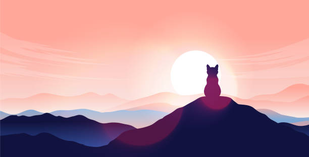 istock Cat on hilltop sitting alone watching the landscape and sunrise. 1334341223