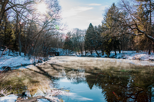 A beautiful sunny winter morning along Paradise Springs in Wisconsin.