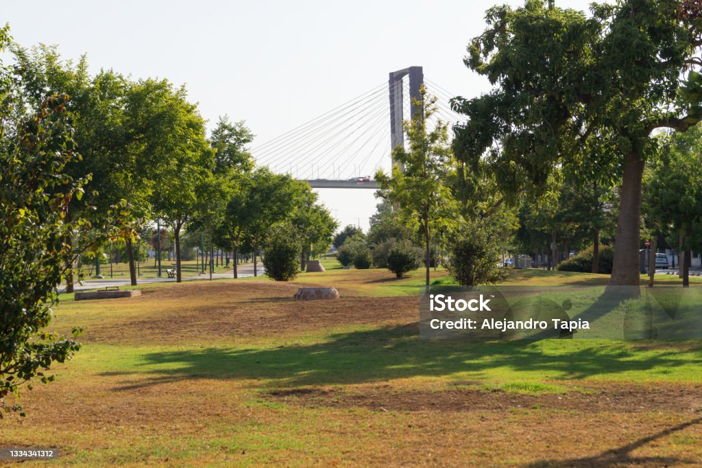 Rio Guadaira Park with views of the great Centennial Bridge in Seville (Andalusia, Spain). Rio Guadaira Park with views of the great Centennial Bridge in Seville (Andalusia, Spain). Large garden and lawn area with large trees. Public Park Stock Photo