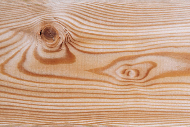 Background texture. Surface of a larch edged board with knot on cut. Wood texture. Top view, copy space.