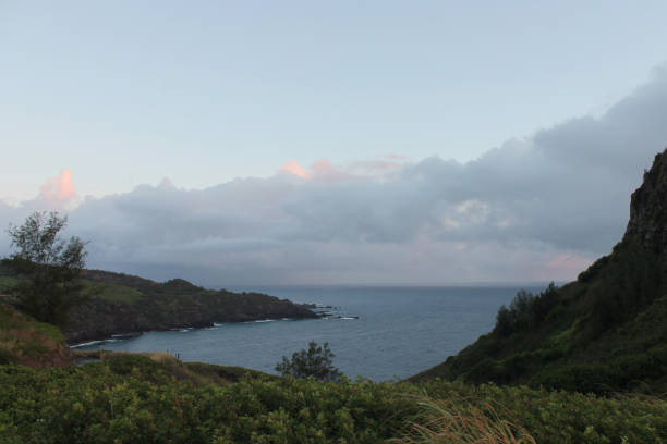 istock Sunrise in Maui 1334349591