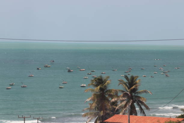 istock Morro Branco beach bay - Fortaleza 1334356303