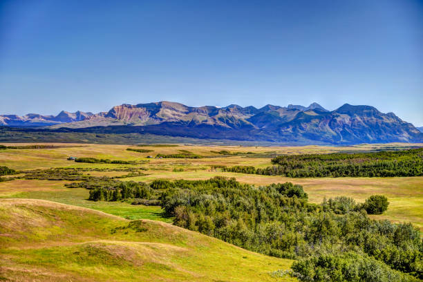 istock Rural scenery in southern Alberta 1334357160