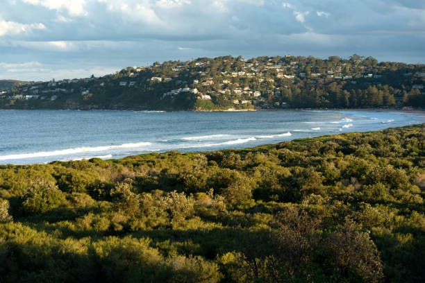 istock Palm Beach, New South Wales 1334357179