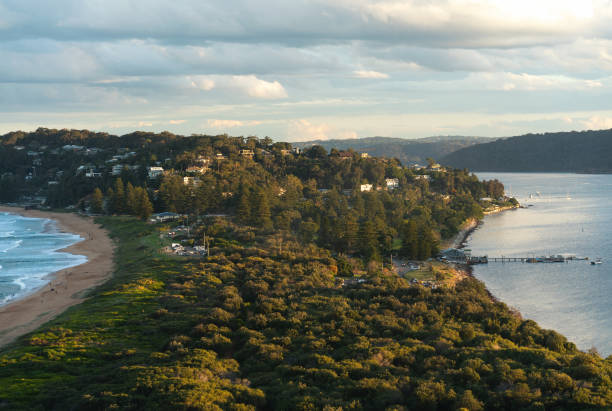 istock Palm Beach, New South Wales 1334357698