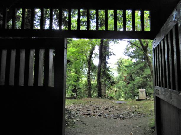istock Japan. April. Gate to limestone caves. View from inside. 1334359105