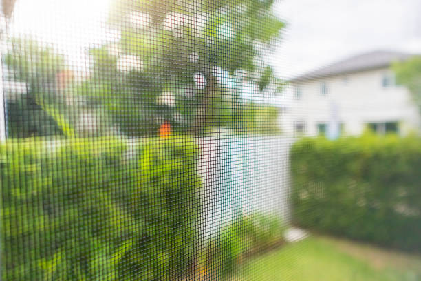 istock mosquito net wire screen on house window protection against insect 1334359354