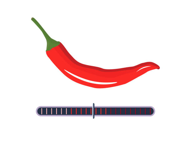 매운 수준. 칠리 페퍼 뜨거운 등급 표시기. 붉은 소스를 곁들인 아시아 및 멕시코 패스트푸드. 중국 요리의 파프리카 포화 도면에 대한 척도. 추가, 온화한, 뜨거운, 중간. 벡터 - foods and drinks vegetable red chili pepper chili pepper stock illustrations