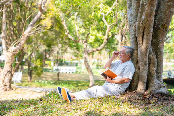 istock Asian senior man reading a book under the tree in public park. 1334361672