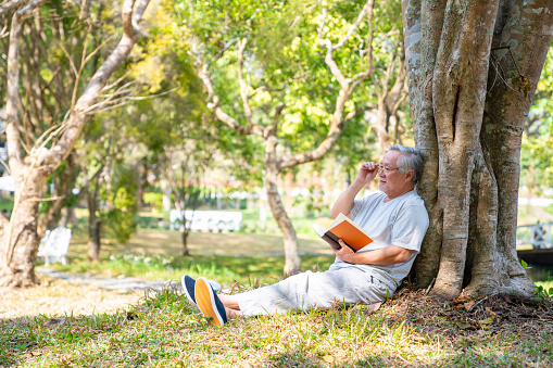 Asian senior man sitting on grass under the tree reading a book in park. Retirement elderly male relax and enjoy outdoor leisure activity in summer day. Older health care and illness recovery concept.