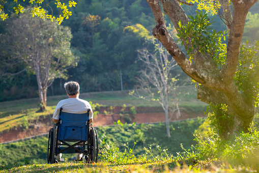 Rear view of loneliness Asian senior man sitting alone on wheelchair in the park. Elderly retired male relax and enjoy outdoor leisure activity in sunny day. Health care and illness recovery concept.