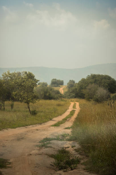 istock Moody, scenic, and cloudy landscape in Rwanda 1334366385