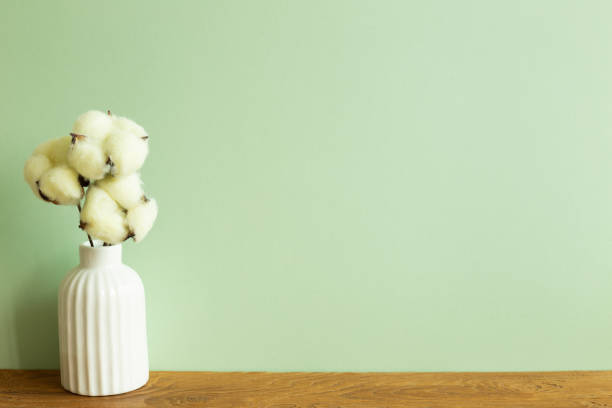 weiße vase aus baumwolle pflanze auf holztisch. grüner wandhintergrund. interieur - cotton plant dry branch stock-fotos und bilder