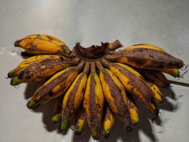 istock small banana with crusty skin 1334373011