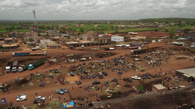 Africa Mali Village and Cattle Market Aerial View