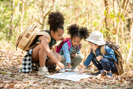 Group of Diversity little girl friends with backpack hiking together at forest mountain in summer sunny day. Three kids having fun outdoor activity sitting and looking at the map exploring the forest.