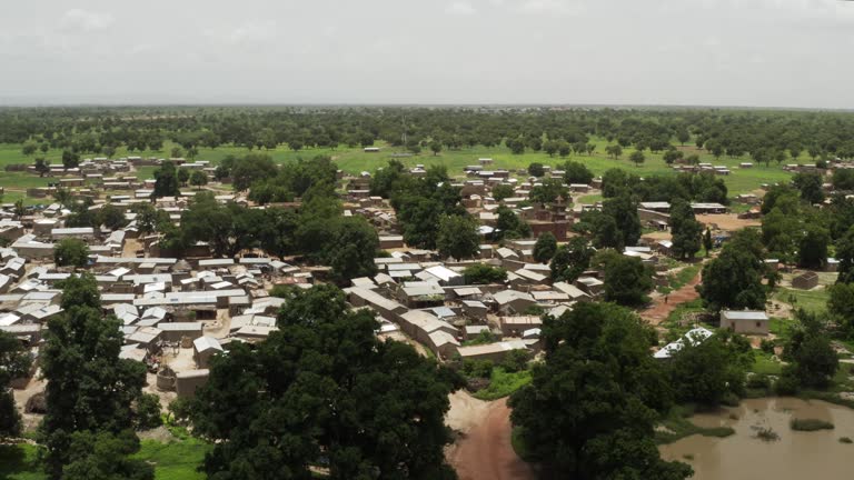 Africa Mali Village and Forest Aerial View 5