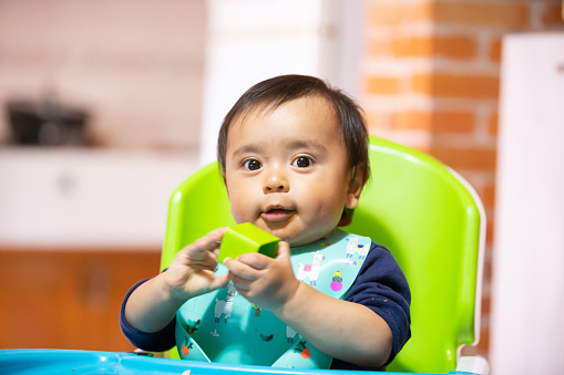 Baby in his chair to eat in the dining room very happy and content.