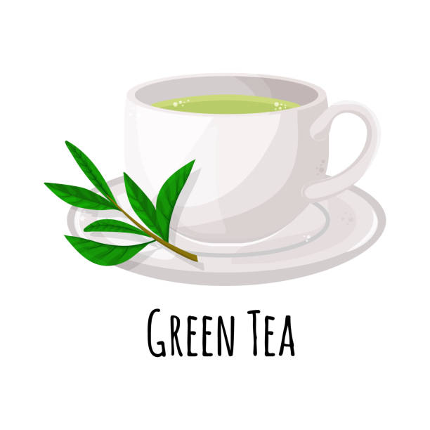 ilustraciones, imágenes clip art, dibujos animados e iconos de stock de una taza de té aislada sobre fondo blanco. salud beber té verde en una taza de vidrio. ilustración vectorial - tea cup cup china saucer