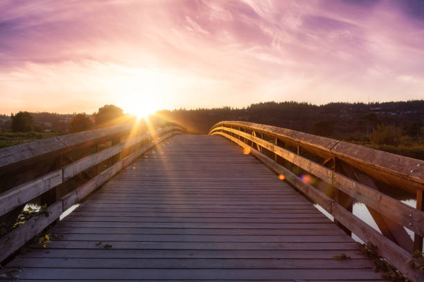 istock Bridge going over a river in a city park. 1334390471