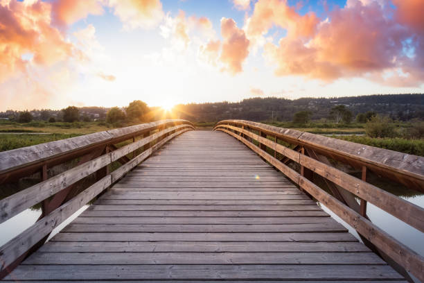 istock Bridge going over a river in a city park. 1334390488