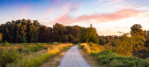 istock Walking Path in a city park. Sunny Summer Sunset. 1334390489