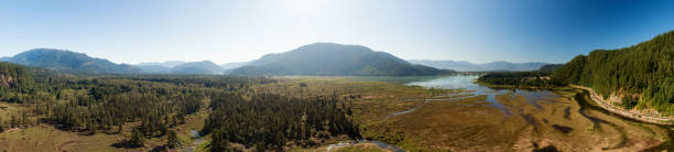 istock Aerial Panoramic View of Harrison River in Fraser Valley 1334390893