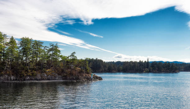 istock View of Beautiful Gulf Islands during a sunny day. 1334391445