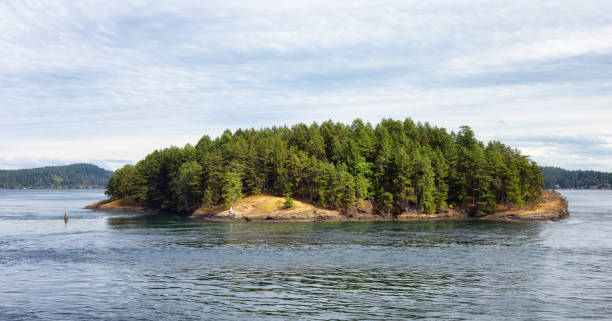 istock View of Beautiful Gulf Islands during a sunny day. 1334391479