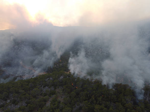 istock Smoke of a forest fire obscures the sun 1334391790