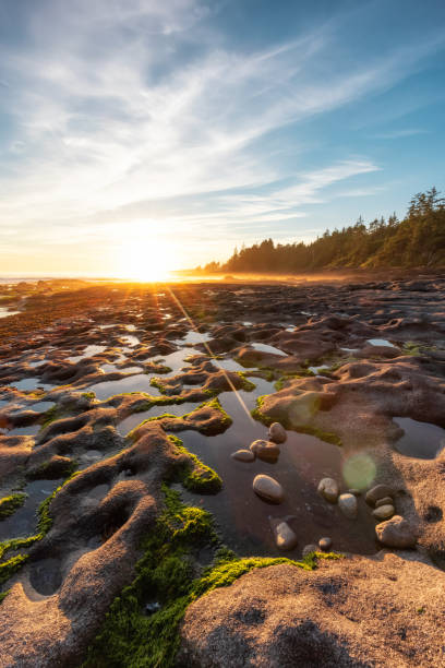 istock Botanical Beach on the West Coast of Pacific Ocean. 1334391830