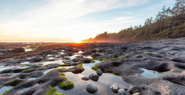 istock Botanical Beach on the West Coast of Pacific Ocean. 1334391842