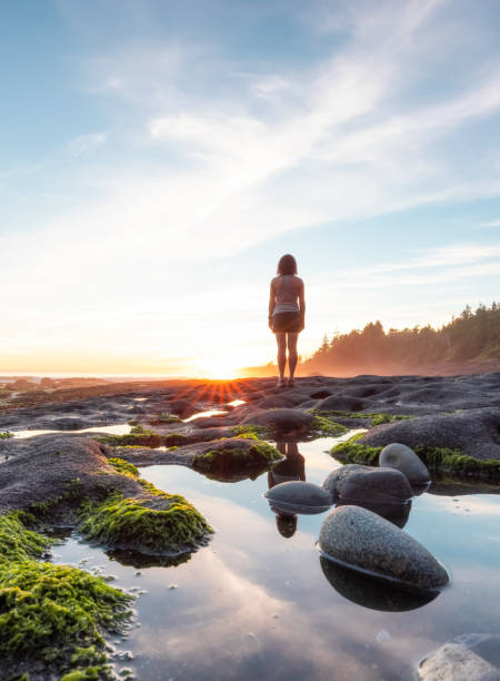 mulher aventureira caminhando na praia botânica na costa oeste do oceano pacífico - west coast living - fotografias e filmes do acervo