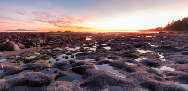 istock Botanical Beach on the West Coast of Pacific Ocean. 1334392463
