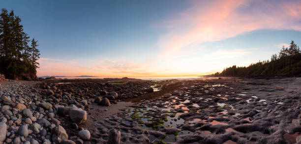 istock Botanical Beach on the West Coast of Pacific Ocean. 1334392561