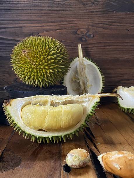 istock Durian Village 1334392729