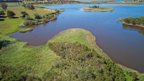 istock Slaughterhouse Creek overflow on Tambo Bay 1334393662