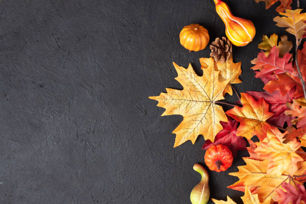 fond du jour de thanksgiving d’automne avec des citrouilles décoratives et des feuilles d’érable sur fond noir vue de dessus. - autumn leaf photos photos et images de collection