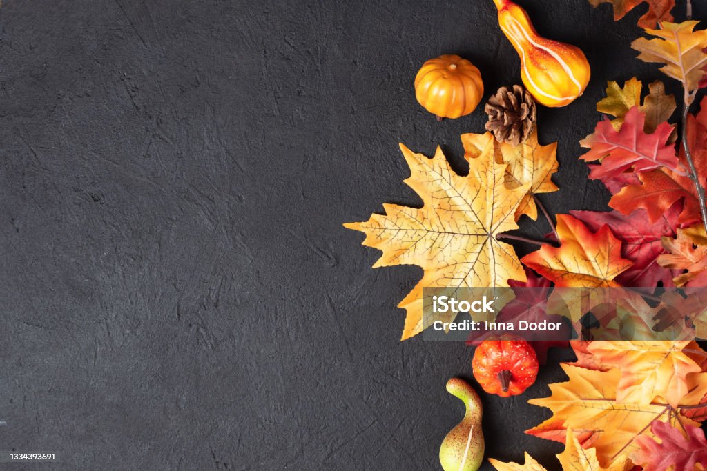 Autumn thanksgiving day background with decorative pumpkins and maple leaves on black background top view. Autumn thanksgiving day background with decorative pumpkins and maple leaves on black background top view. Autumn Thanksgiving greeting card. Thanksgiving - Holiday Stock Photo