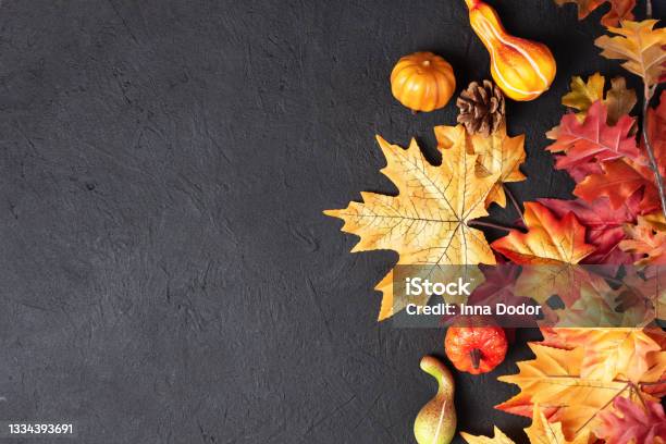 Autumn Thanksgiving Day Background With Decorative Pumpkins And Maple Leaves On Black Background Top View Stock Photo - Download Image Now