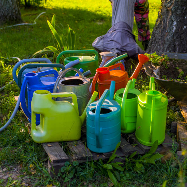 istock bunch of water cans 1334393737