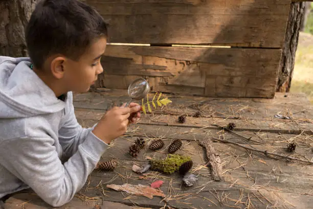 Photo of Little boy looking at a leaf of a tree with a magnifying glass