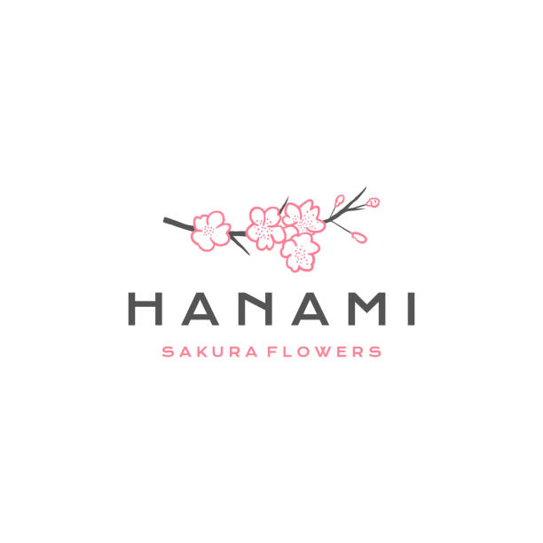 ilustrații de stoc cu ilustrație stoc pictogramă vectorială japoneză sakura
asia, japonia, cherry blossom, primăvară, logo, ilustrație - hanami