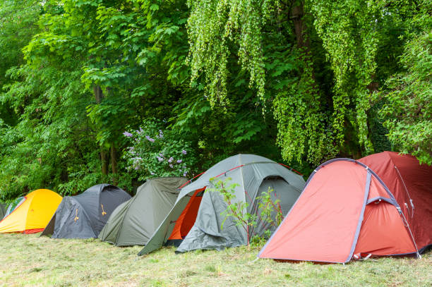 istock Camping and tent under the  forest . 1334401156