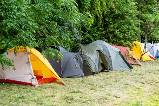 istock Camping and tent under the  forest . 1334401162