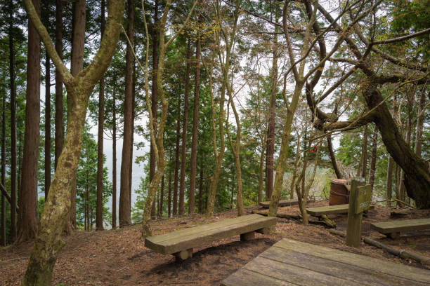 istock Hiking at the mountain in spring ,Isehara, Japan 1334403353