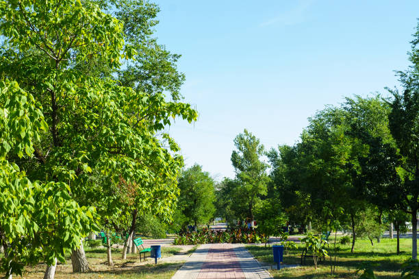 istock City green park at daytime. 1334403574