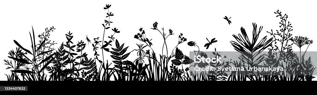 Background with black silhouettes of meadow wild herbs and flowers. Wildflowers. Wild grass. Set of silhouettes of botanical elements. Herbal Medicine stock vector