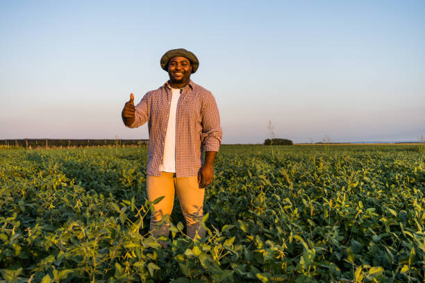 istock Farmer in the field 1334407913
